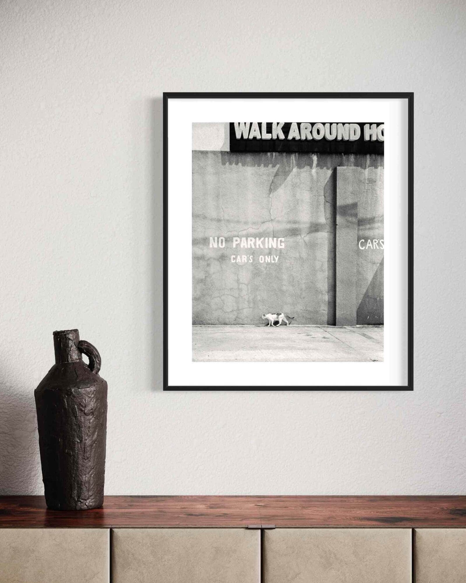 Framed b&w print of cat