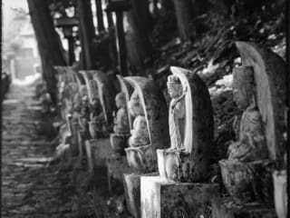Black and white image of Jizo statues in a serene forested pathway in Japan.