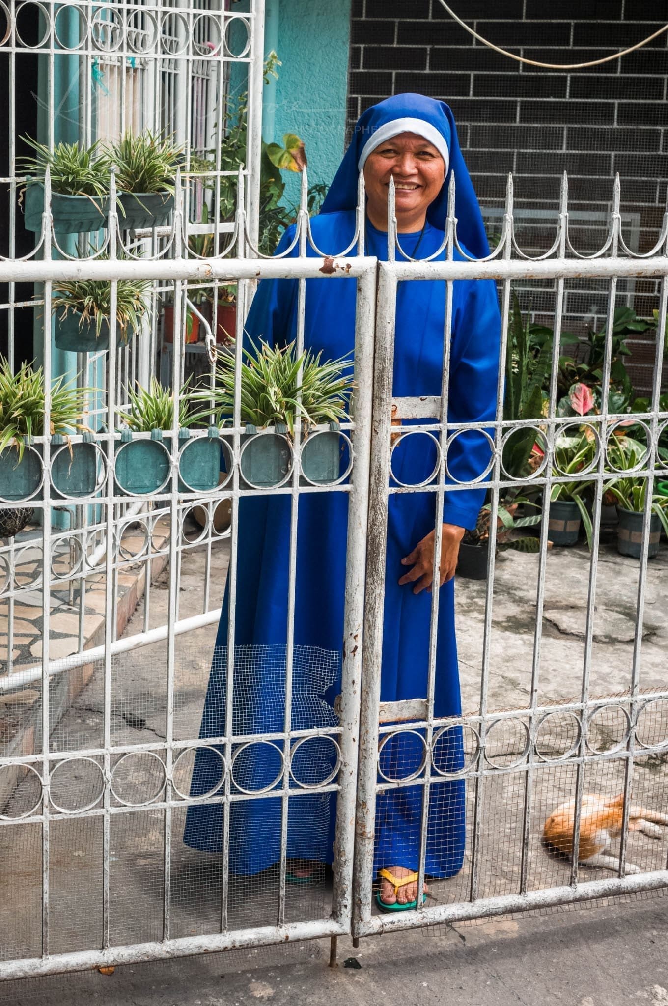 Nun in blue habit smiles behind gate with plants and cat.
