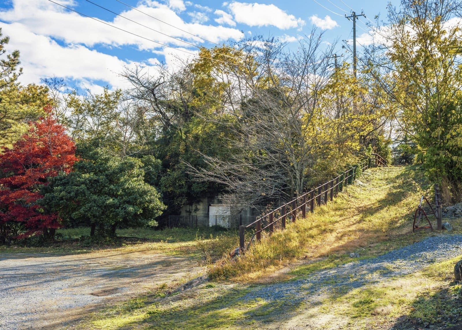 Autumn landscape with colorful trees and rustic road in rural setting.