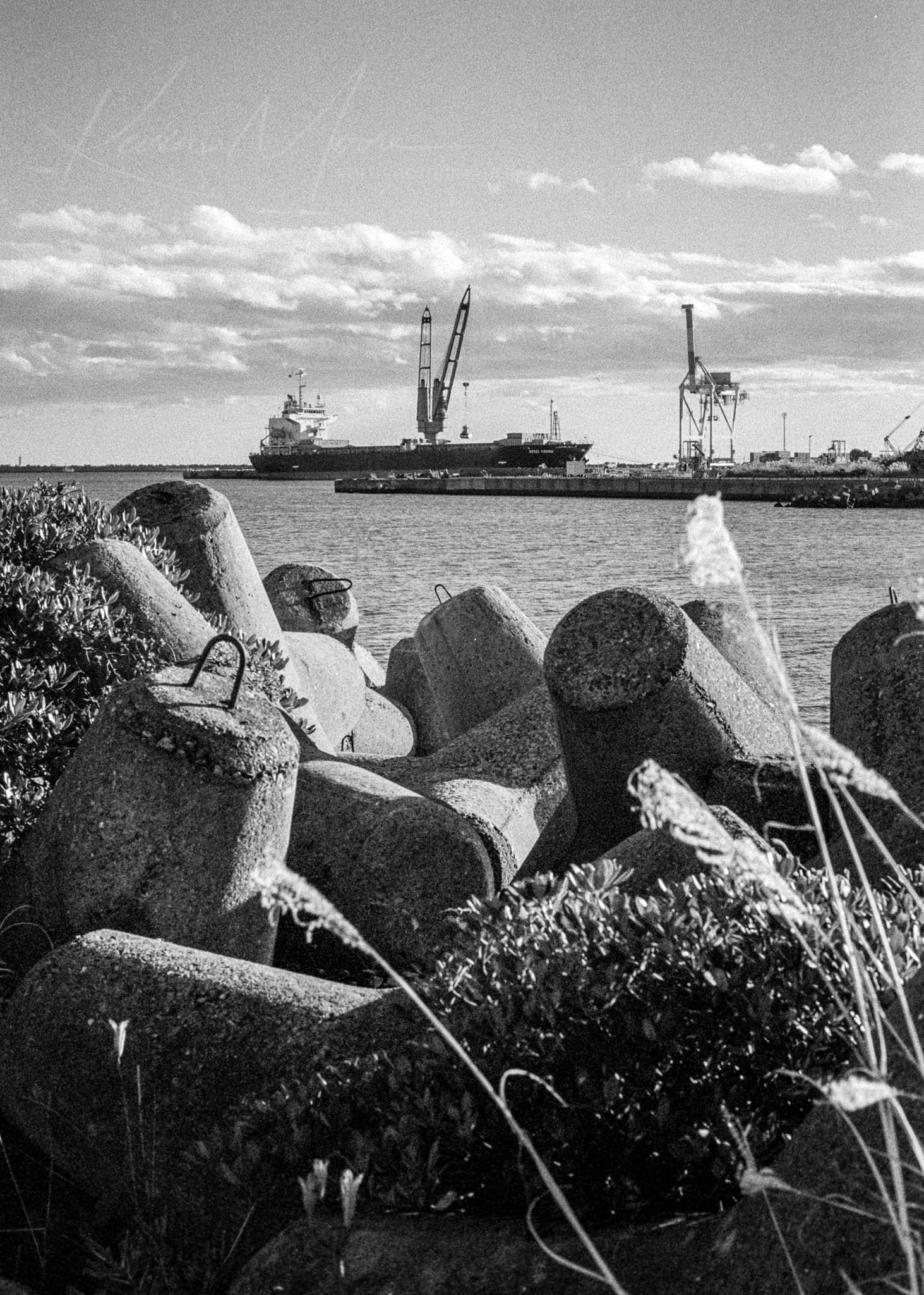 Monochrome Majesty: Nature Meets Industry at the Harbor Industrial harbor with cranes, ship, and concrete wave breakers in a monochrome setting.