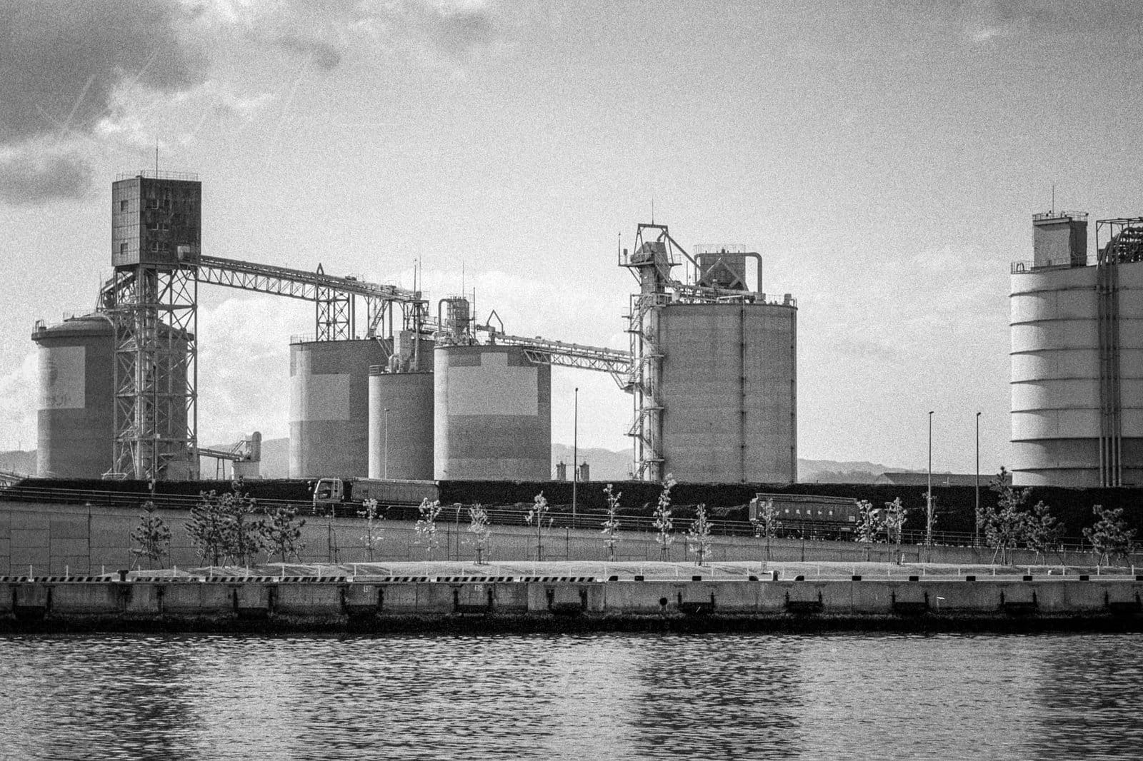 Film vs. Digital Photography comparison highlighting nostalgic charm and modern convenience